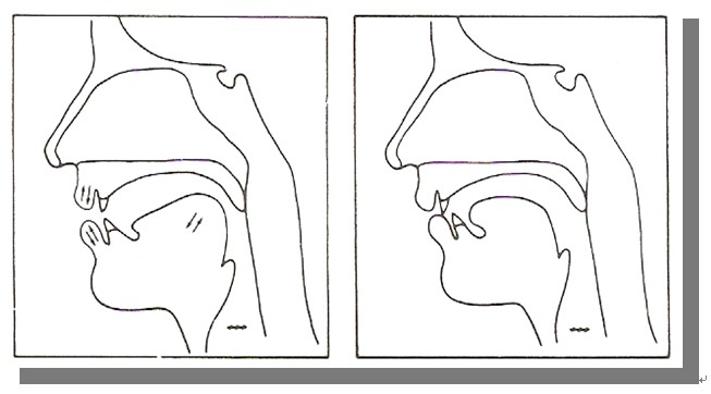 站在人民大桥上,往北可以望见开元大酒店的塔